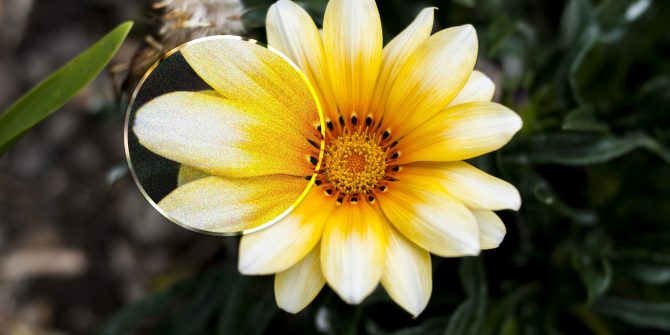 noise-free-photography